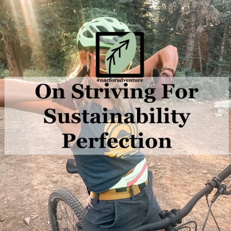 on striving for sustainability perfection